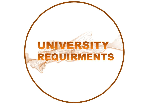 University Requirements