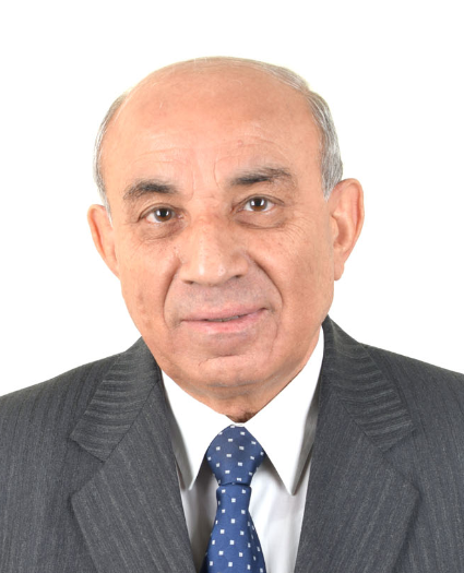 Prof. Sajeea Masoud