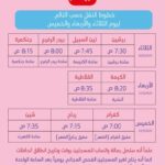 خط سير 2