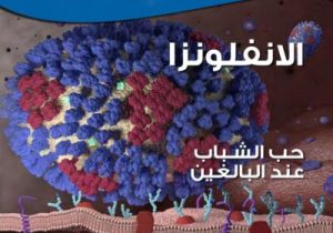 3صورة العدد
