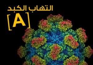 7صورة العدد